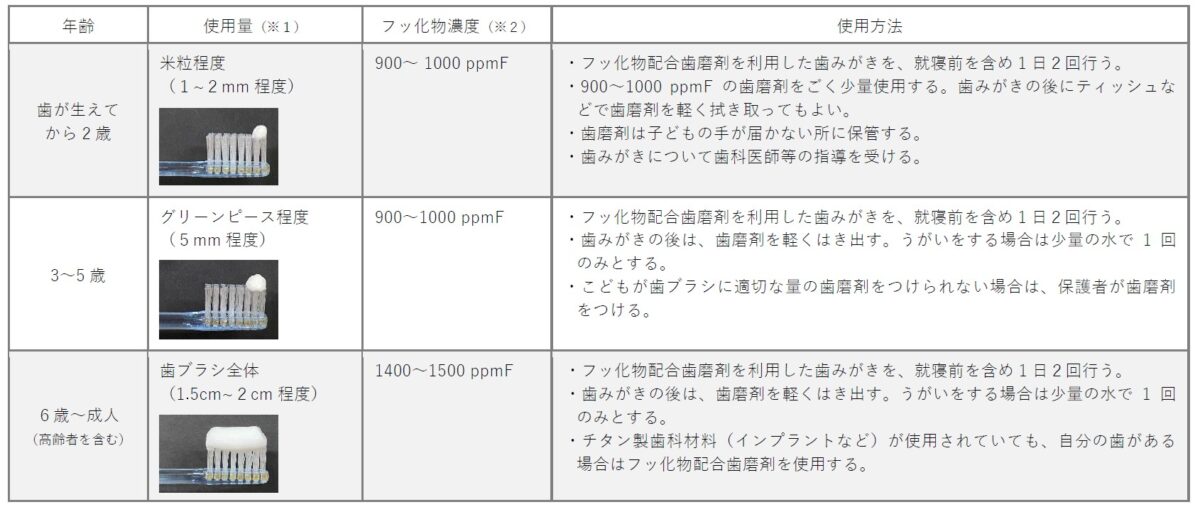 年齢別の歯磨剤の使用量を歯ブラシ上で示した写真入りの表