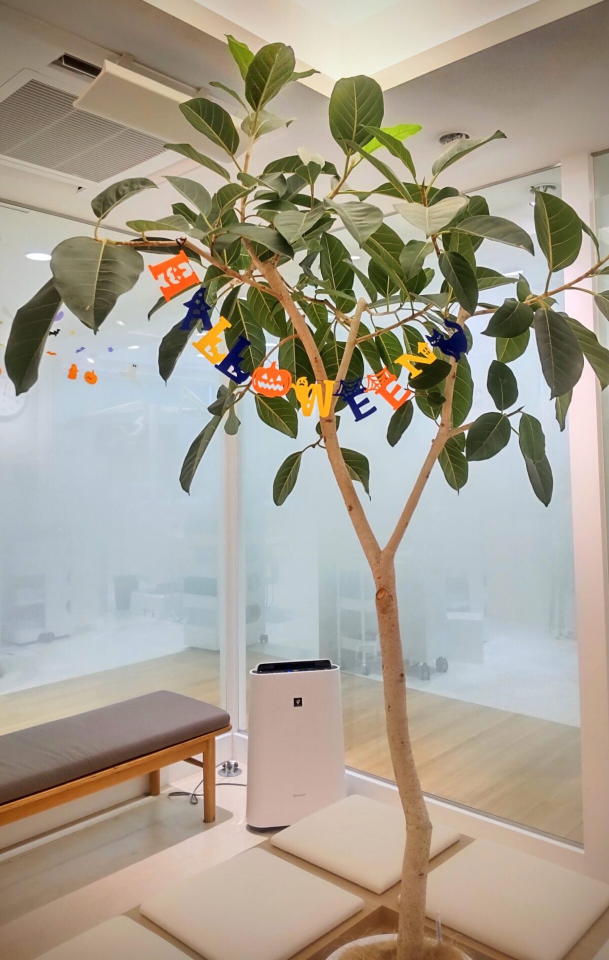 ハロウィンの小物を飾った院内の観葉植物