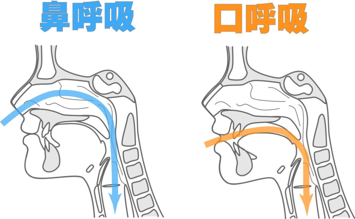 口呼吸 口呼吸していませんか⁉️実は怖い❗️知らないうちに潜むリスクと鼻