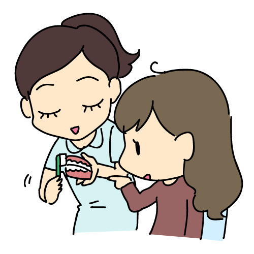 歯の模型を使って歯磨きを説明する歯科スタッフのイラスト